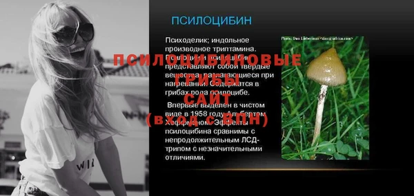 амф Гусев