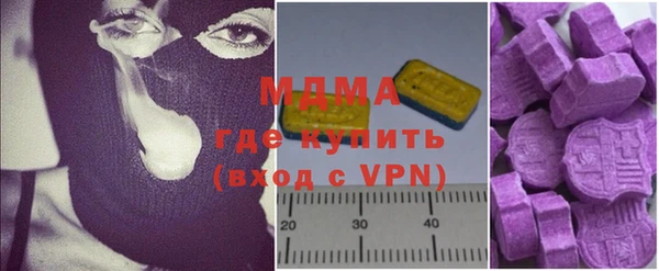 ГАЛЛЮЦИНОГЕННЫЕ ГРИБЫ Гусь-Хрустальный