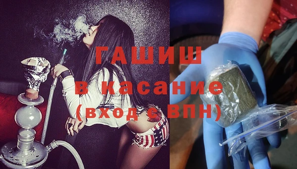 амф Гусев