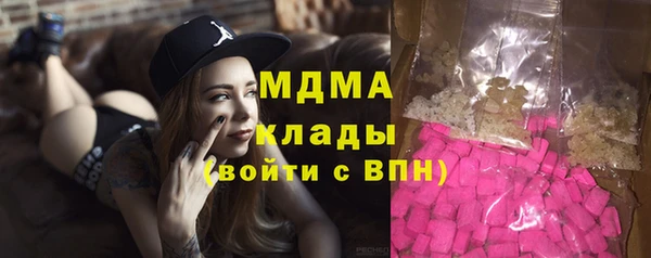 амф Гусев