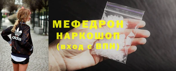 амф Гусев