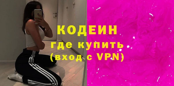 ГАЛЛЮЦИНОГЕННЫЕ ГРИБЫ Гусь-Хрустальный