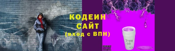 амф Гусев