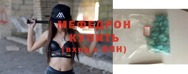 индика Горнозаводск