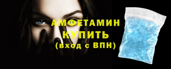 индика Горнозаводск