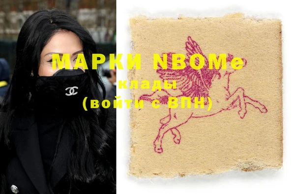 гашик Горняк