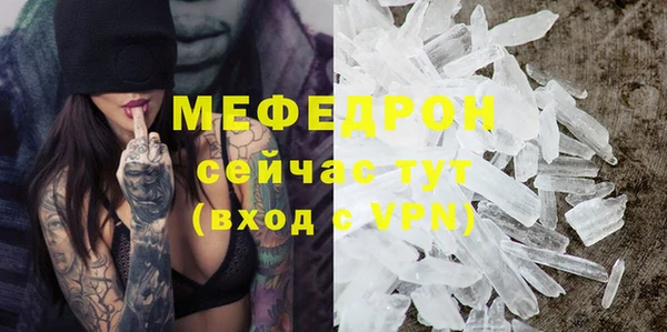 амф Гусев