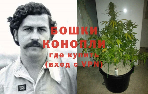 ГАЛЛЮЦИНОГЕННЫЕ ГРИБЫ Гусь-Хрустальный