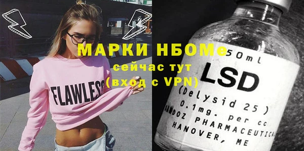 амф Гусев