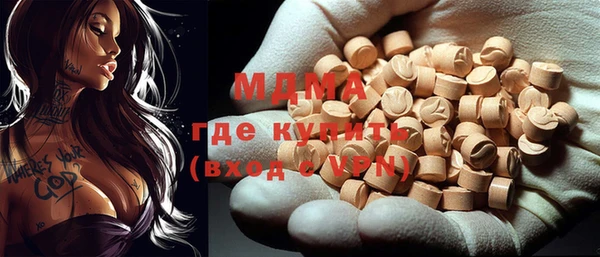 амф Гусев