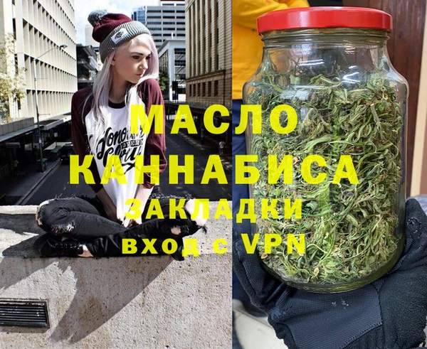 индика Горнозаводск