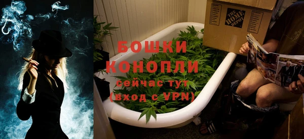 ГАЛЛЮЦИНОГЕННЫЕ ГРИБЫ Гусь-Хрустальный