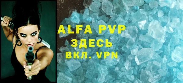 амф Гусев