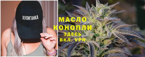 гашик Горняк