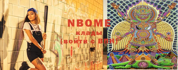 индика Горнозаводск